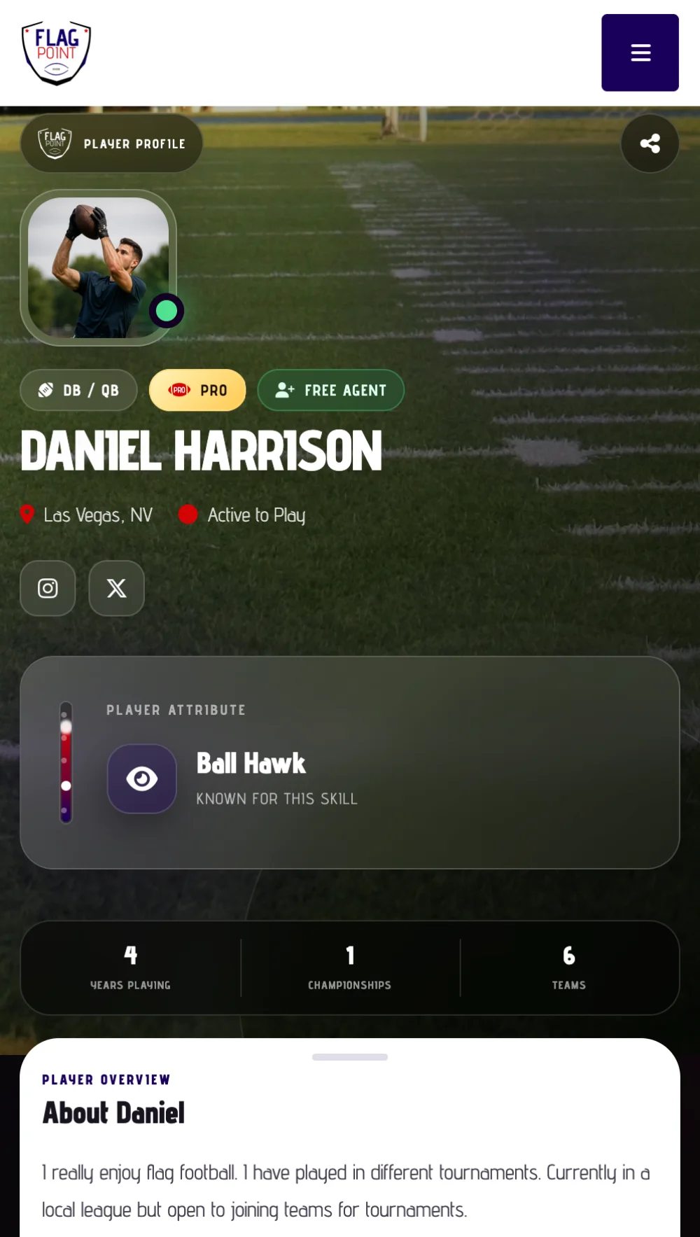 Screenshot of FlagPoint team dashboard